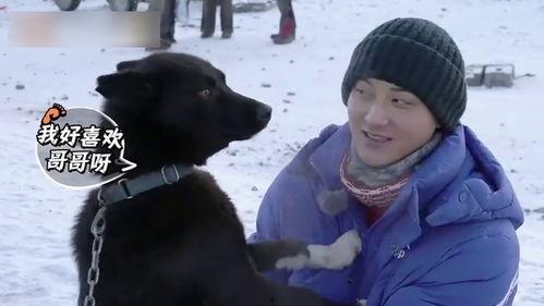 狗子爆料周冬雨视频播放,揭秘幕后故事 第2张 狗子爆料周冬雨视频播放,揭秘幕后故事 第2张